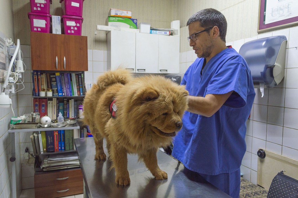 Centro Veterinario Tabancura