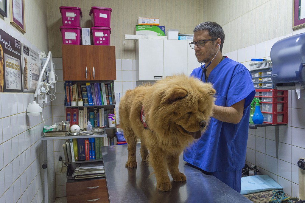 Centro Veterinario Tabancura